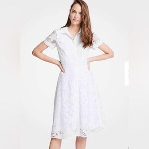 Ann Taylor Floral Lace Shirtdress Size 2